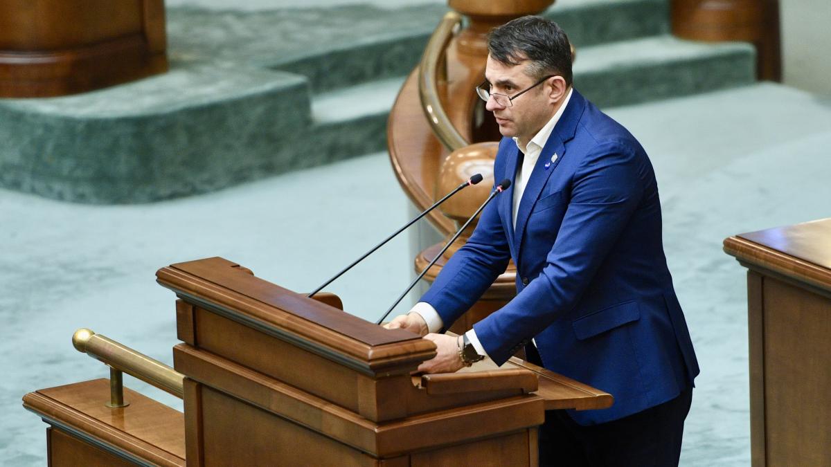 Senatorul USR Stefan Palarie acuza PSD ca sabotajeaza o serie de institutii Cand nu isi