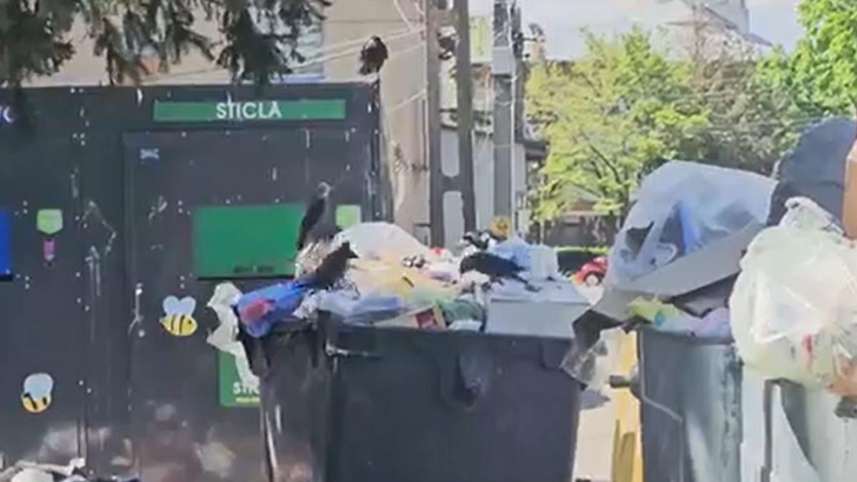 stare de alerta in bacau 65 de localitati acoperite de gunoi nu pot justifica cheltuielile cu