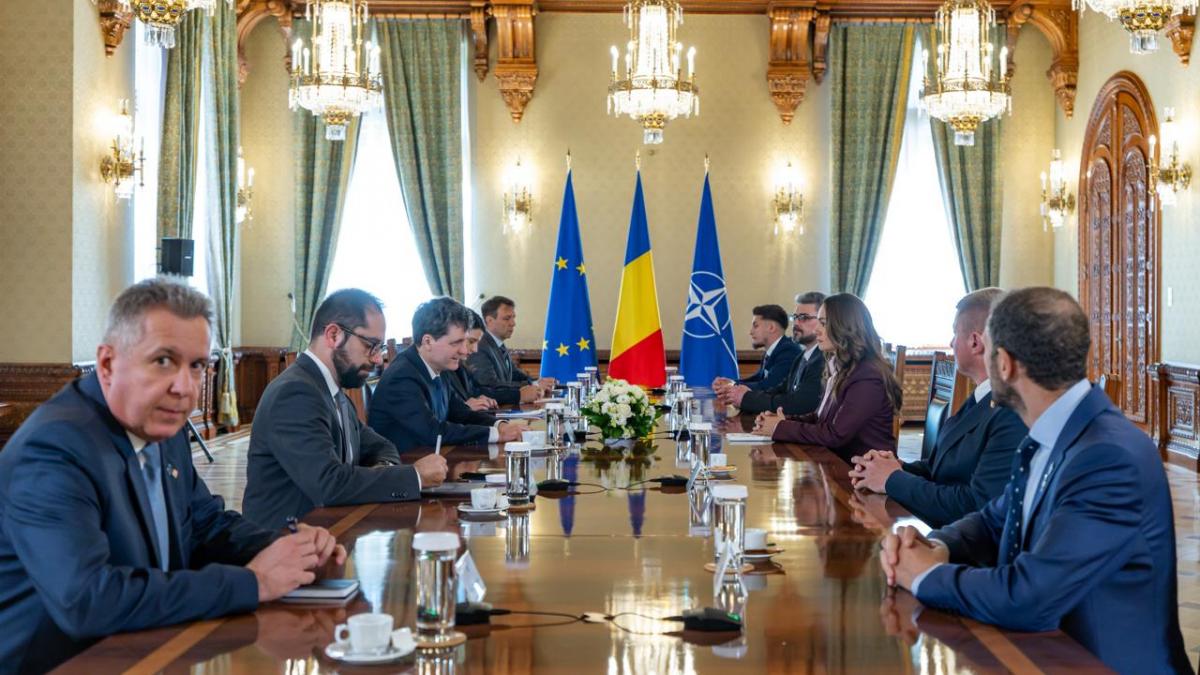 surpriza de la cotroceni anamaria gavrila isi propune sa faca parte dintr un guvern prooccidental si il admira pe