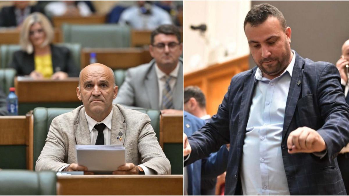 Cum a reformat Bolojan un alt suveranist Senatorul Bortun a renuntat la Anamaria Gavrila Da 1