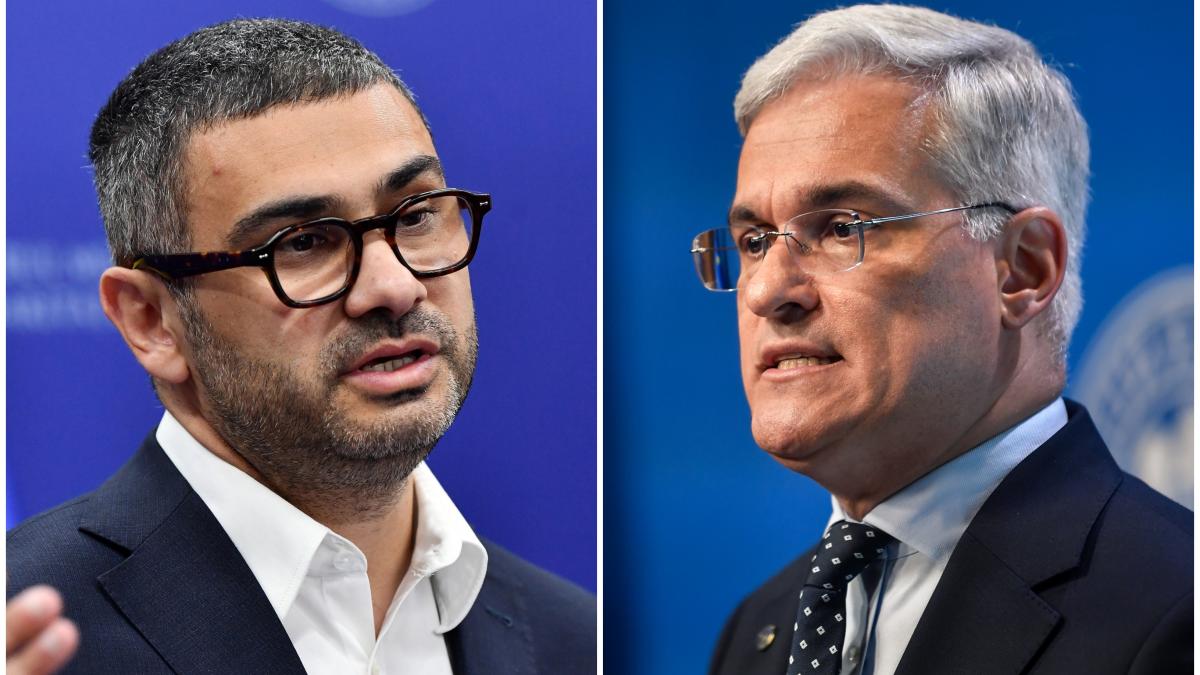 Salariile demnitarilor pot fi suspendate fara acordul Comisiei afirma fostul ministru al Muncii