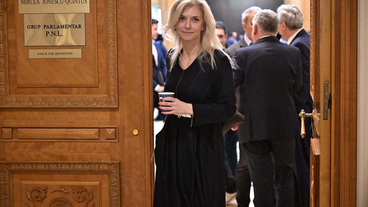 PNL susține că dosarul pentru anularea Congresului a fost alocat unei foste colaboratoare... 2 PNL sustine ca dosarul pentru anularea Congresului a fost alocat unei foste colaboratoare