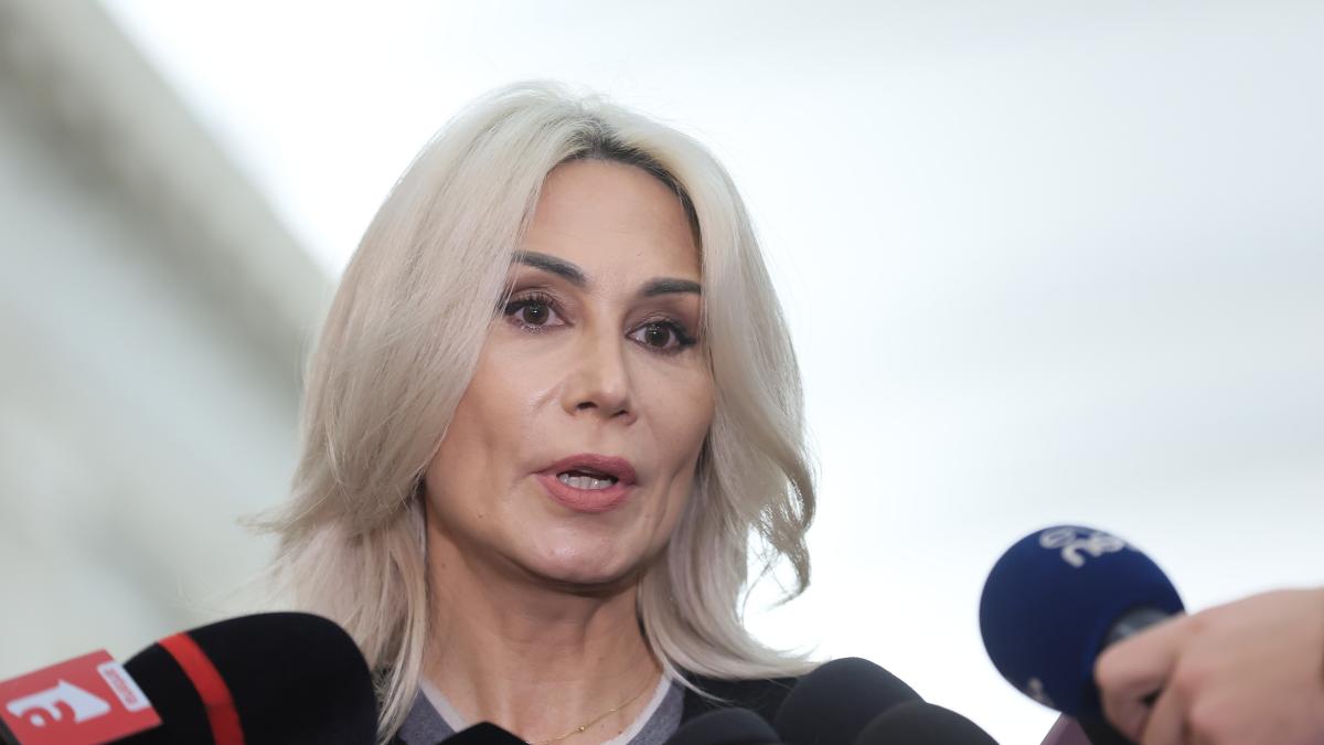 Raluca Turcan afirma ca Platforma Conservatoare din PNL pare a fi fost conceputa in biroul lui Grindeanu
