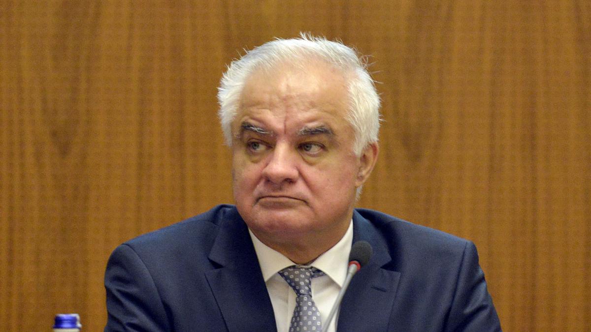 Atac vehement din partea PSD dupa ce consilierul BNR a afirmat ca vom manca scoarta de copac Un imbuibat trebuie demis de urgenta