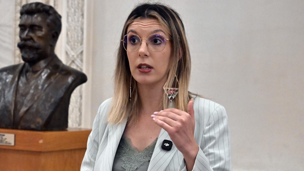 Buzoianu acuza Romsilva In noul contract colectiv de munca s a stipulat ca va asigura masini pentru