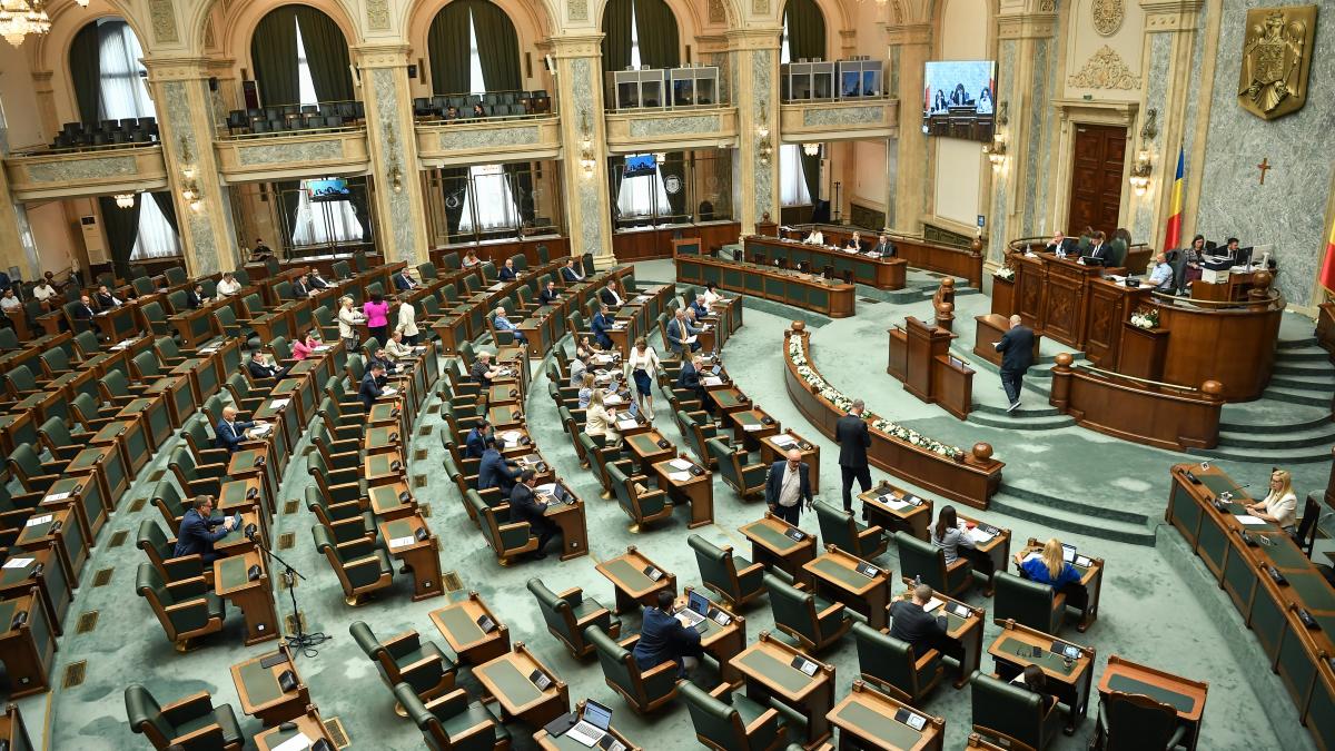 Legea ANI a fost aprobata pentru a doua oara de Senat cu amendamentul Fritz si propunerea AUR privind averile