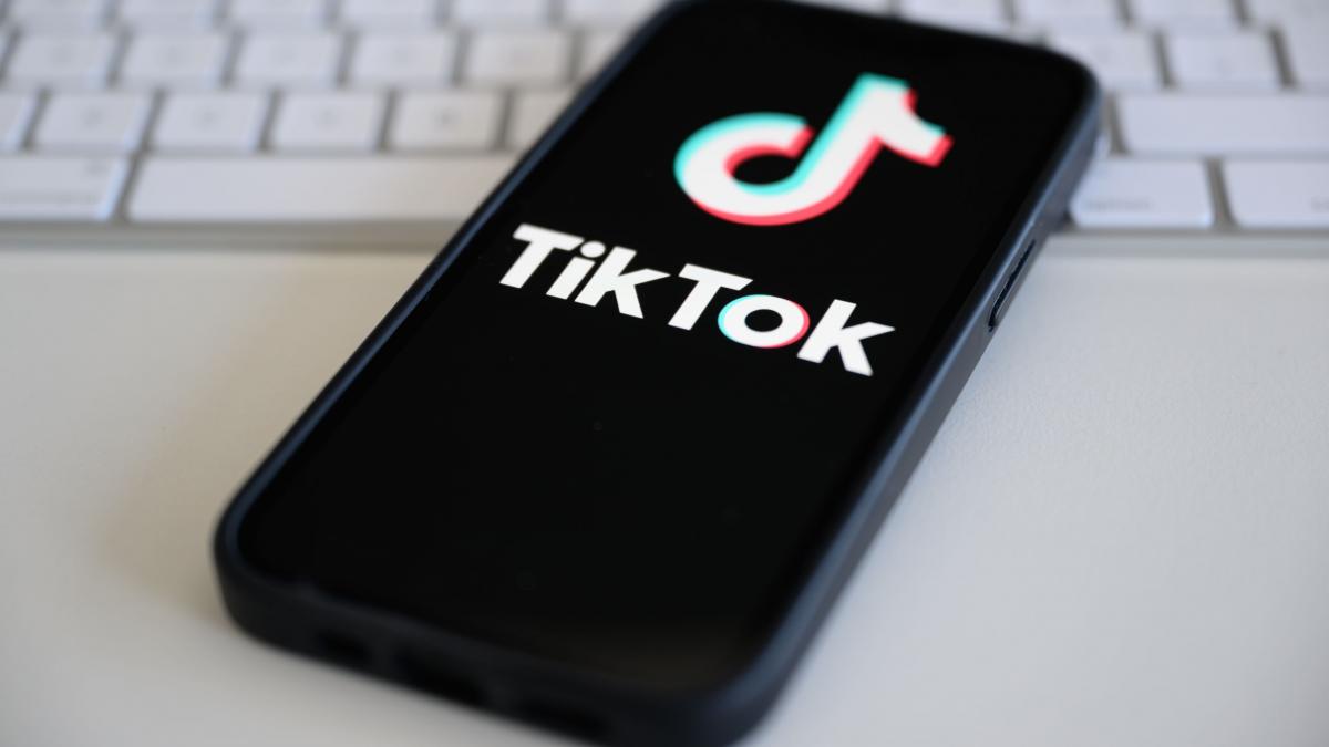 USR se opune interzicerii TikTok propusa de colegii de la PNL